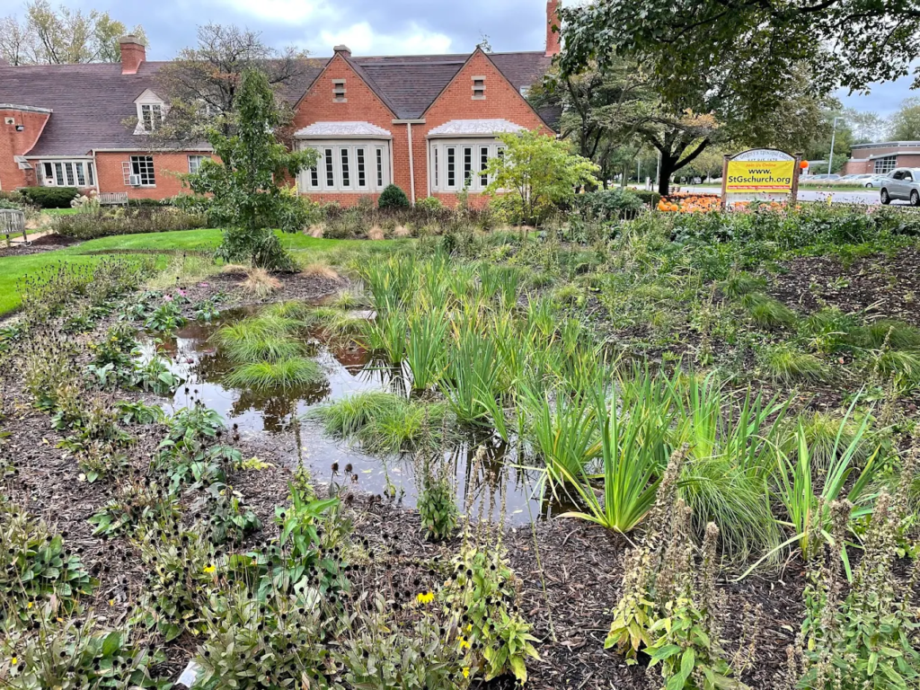 Rain Garden Design Services in Round Lake IL