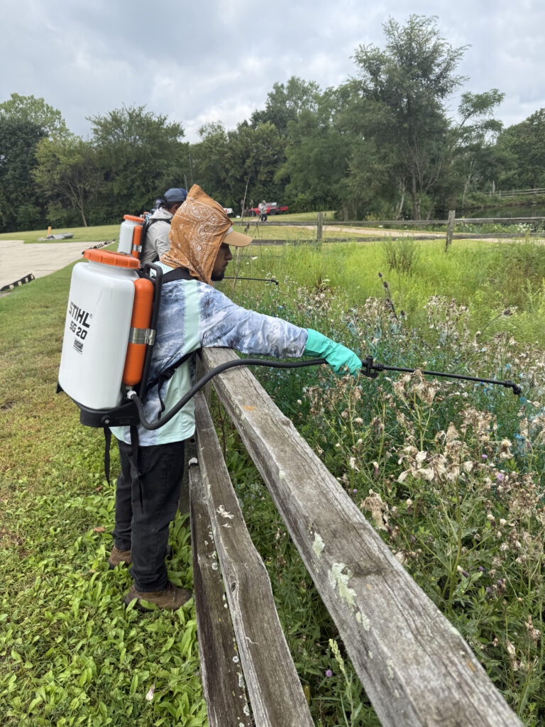 Invasive Species Management