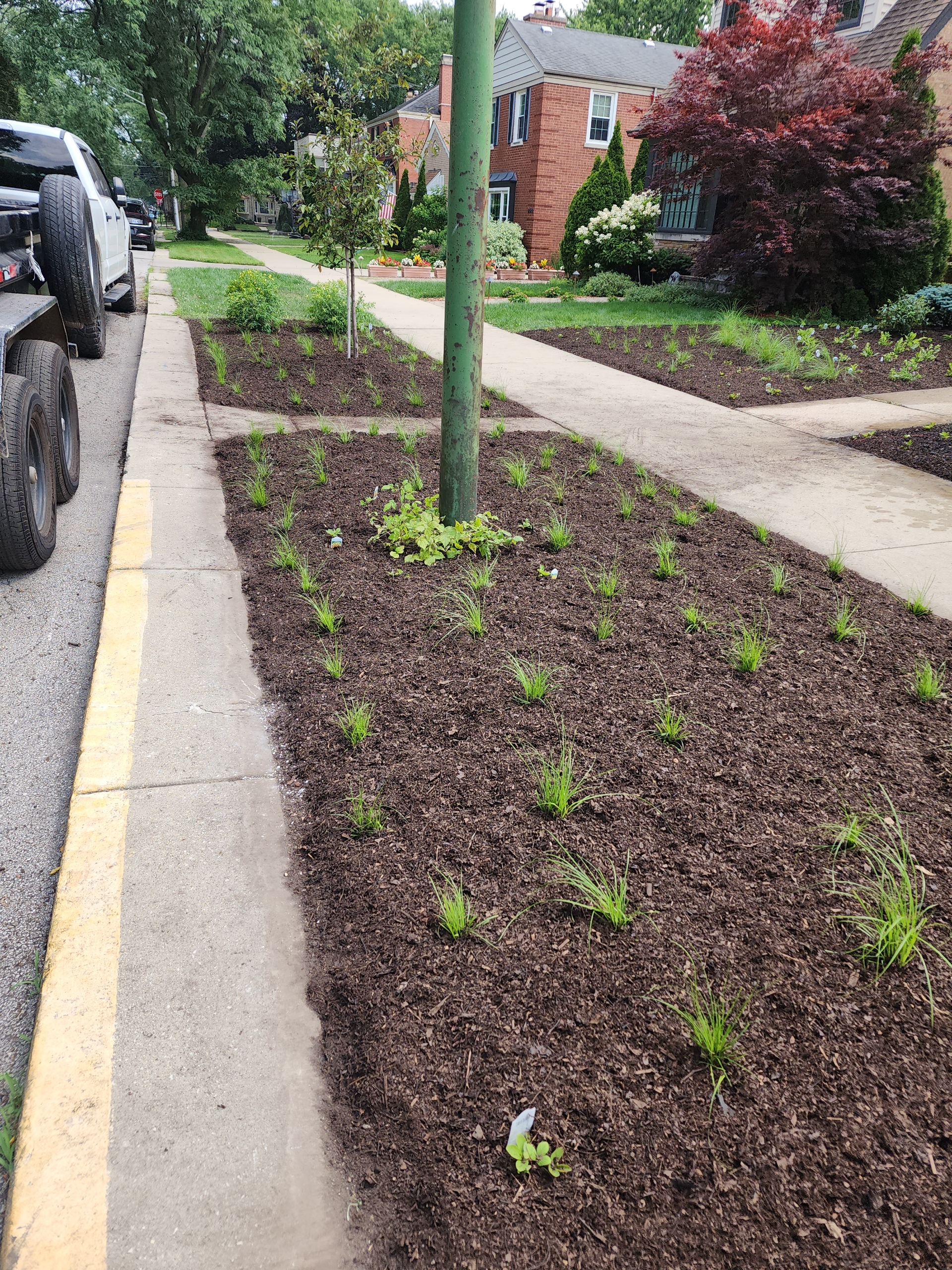 Residential Landscape Design