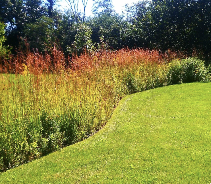 Prairie Seeding and Installation