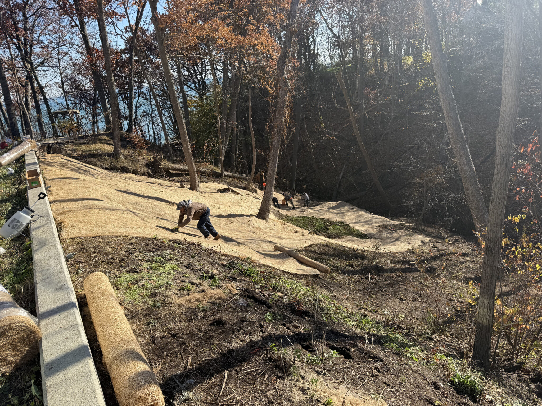 Erosion control matting installed on a graded woodland slope