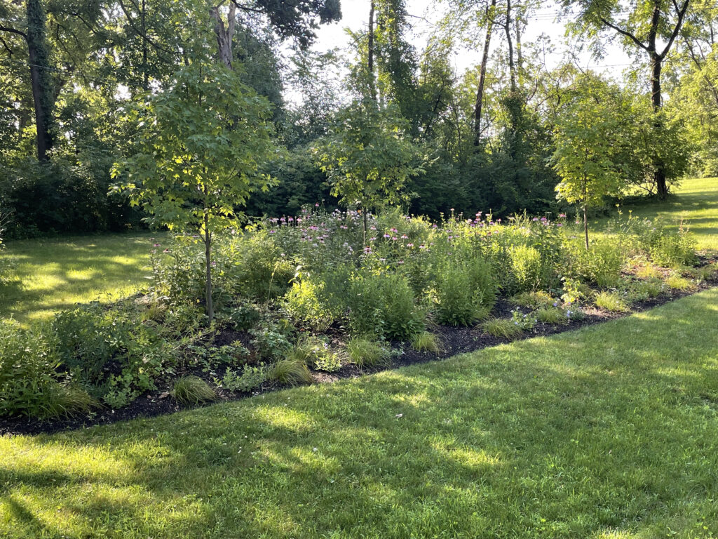 Rain Garden Sizing & Placement