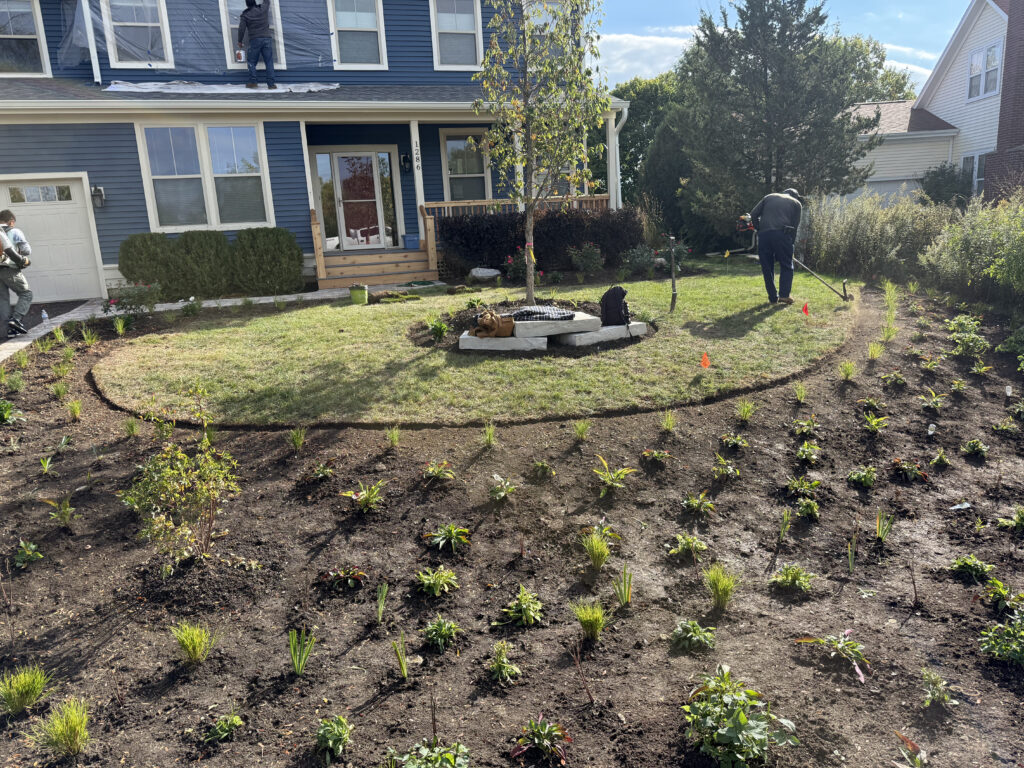 Rain Garden Installation in Round Lake