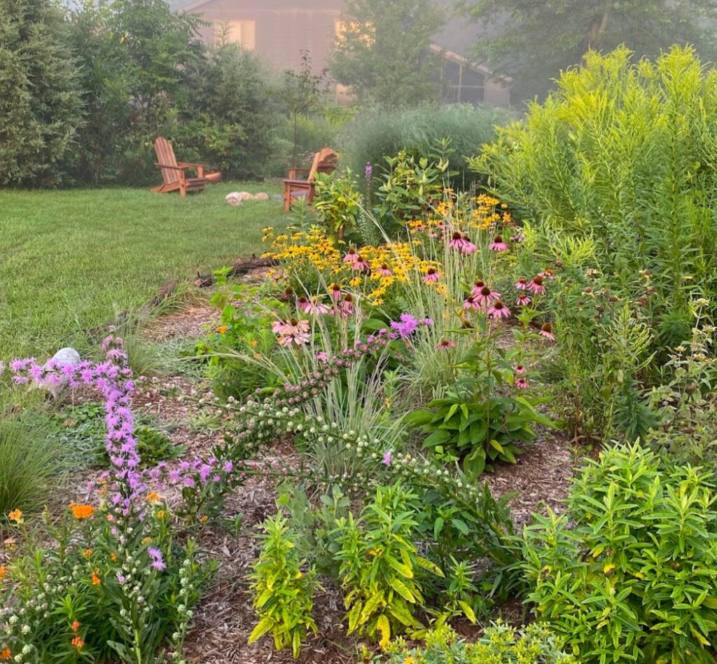 Native Plants Round Lake