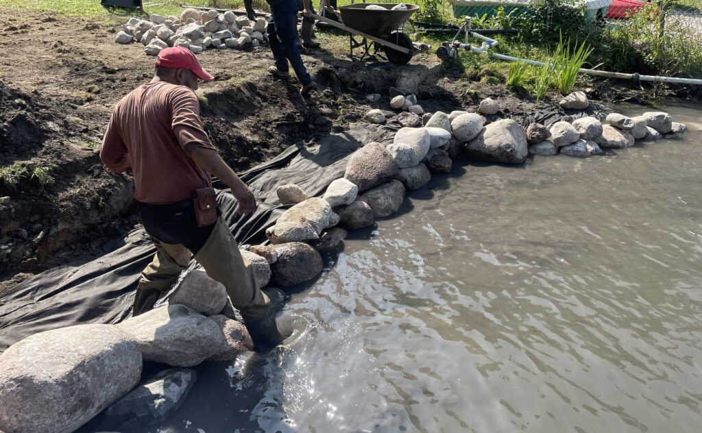 Shoreline Springtime Maintenance