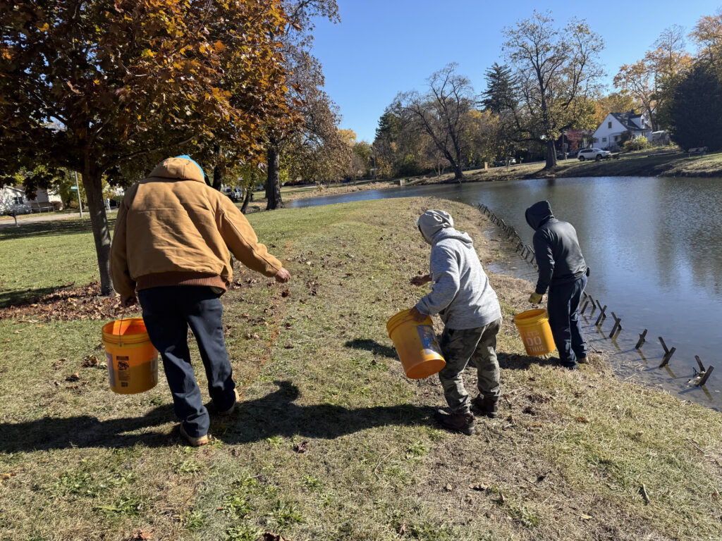 Planting and shoreline restoration