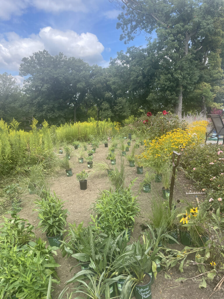 Trail and Park Design Plant Selection