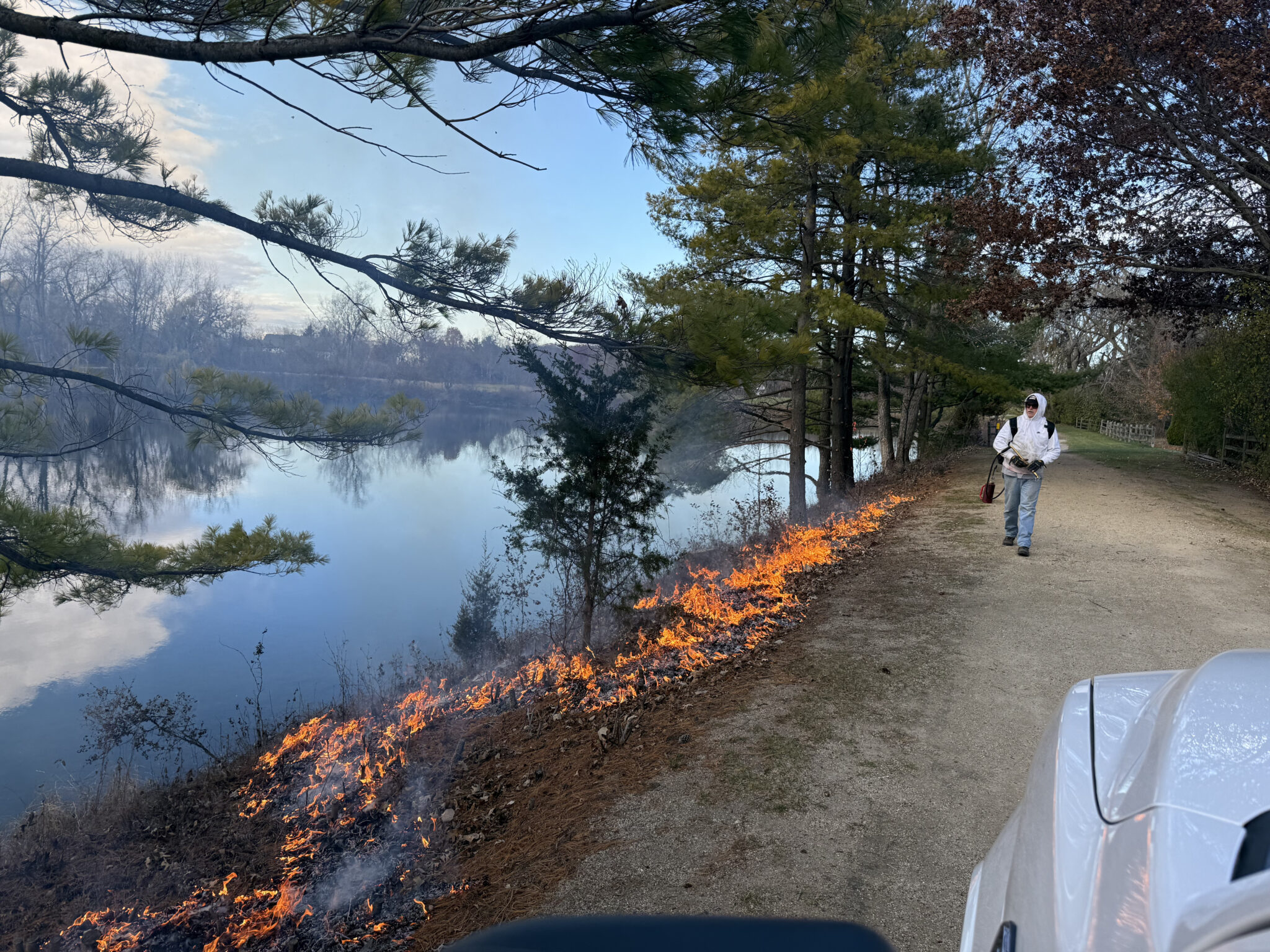 Prescribed fire burning along the edge of open water at dusk