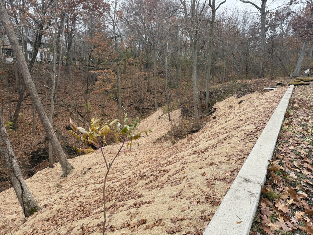 Bioengineering Techniques for Erosion Control