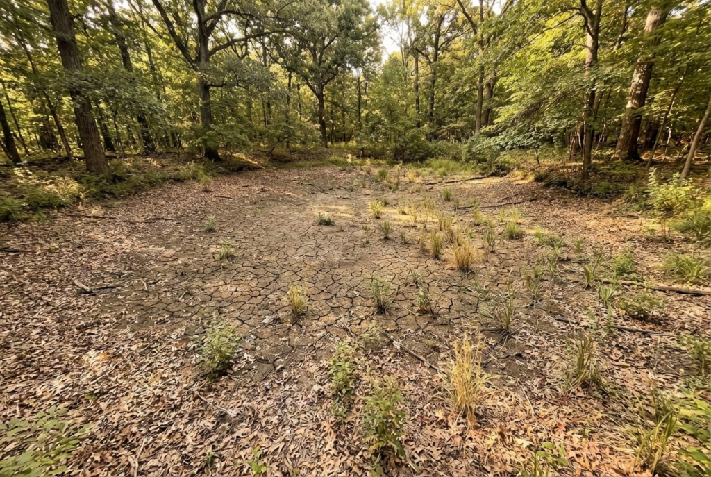 Protecting Ponds From Well-Meaning Destruction