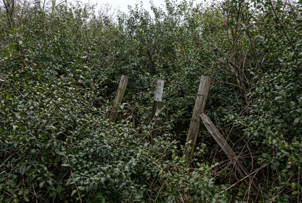 Nature Doesn't Fix Itself Anymore