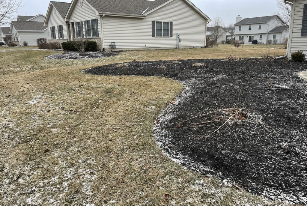 Planting for Spring and Ignoring the Other Three Seasons