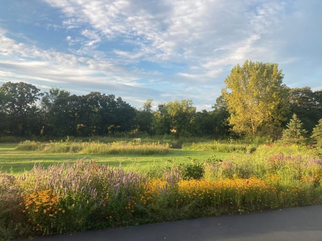 Native prairie and savanna converted from turf grass on a two acre Wadsworth property
